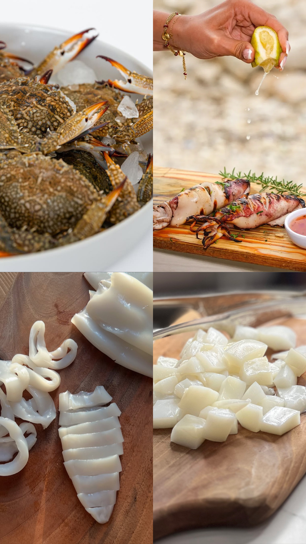 ابزیان خلیج فارس 